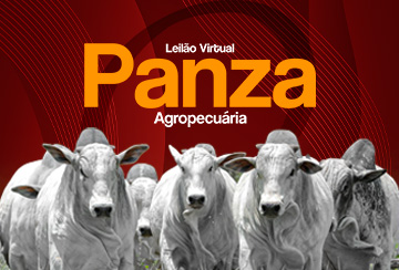 LEILÃO VIRTUAL PANZA AGROPECUÁRIA